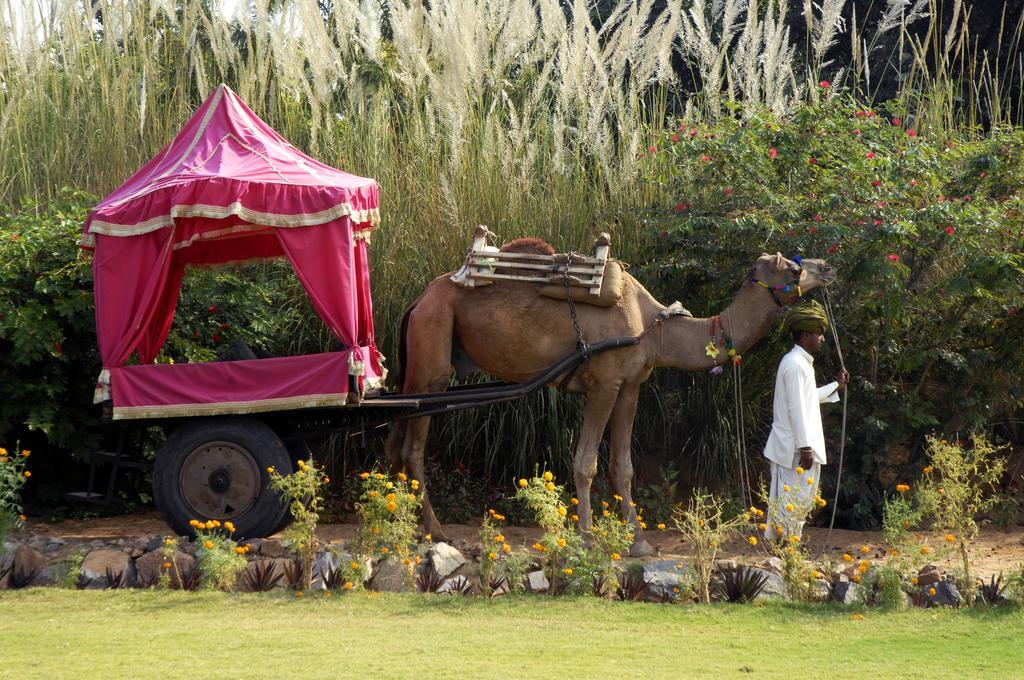 Pushkar Resort Esterno foto