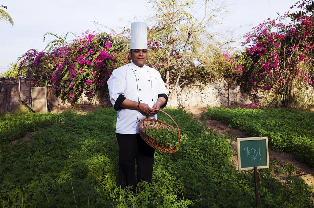 Pushkar Resort Esterno foto