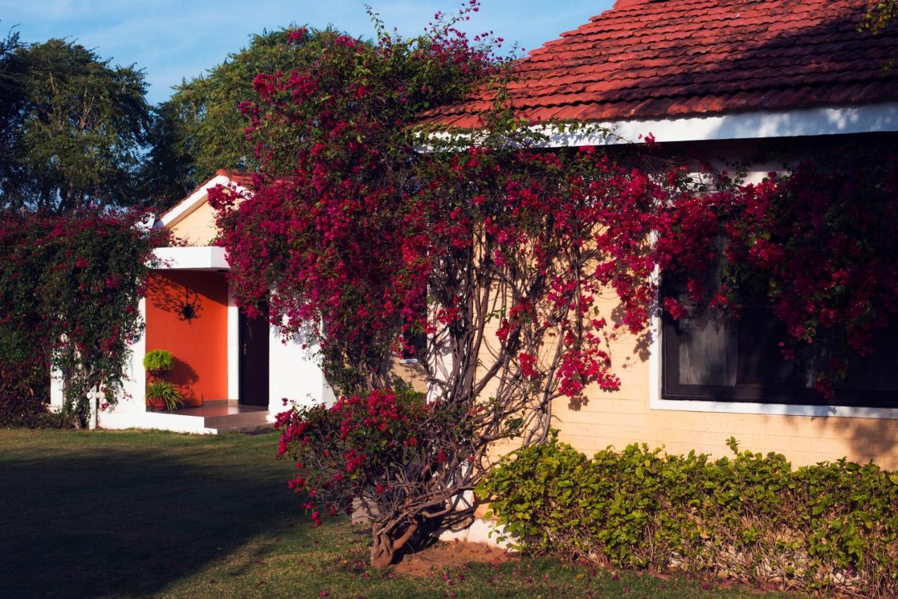 Pushkar Resort Esterno foto
