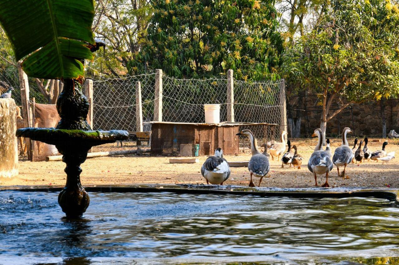 Pushkar Resort Esterno foto